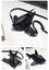 Shark Women Shoulder Bags